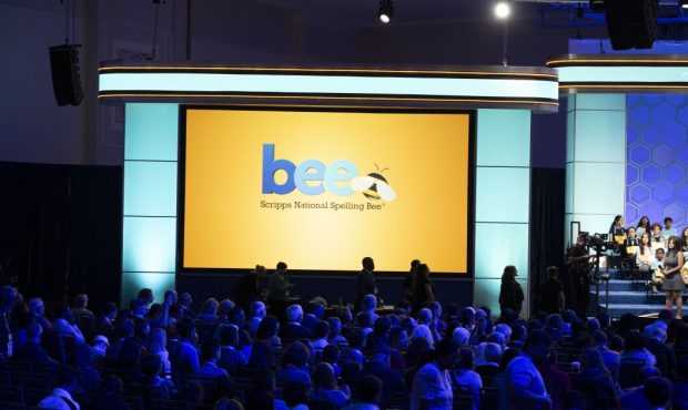 Buzz پیش از صدمین سال برای زنبور عسل ملی اسکریپس ساخته می شود Buzz پیش از صدمین سال برای زنبور عسل ملی اسکریپس ساخته می شود